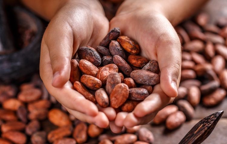 SAVOUREUX - Bayonne fête son chocolat avec des milliers de gourmands